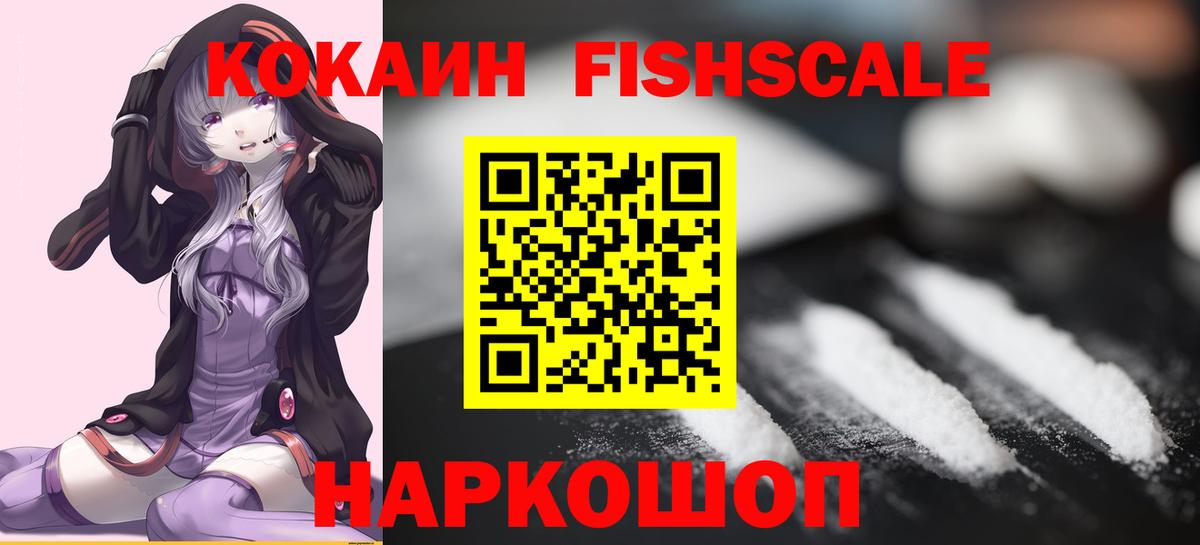 Cocaine Fish Scale  Вход с VPN  COCAIN  Сосновый Бор  COCAIN Перу 